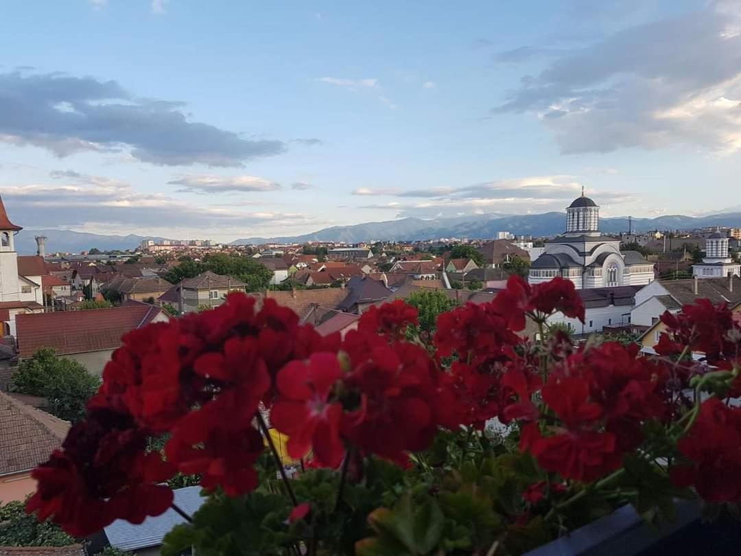 Ferienwohnung Sibiu Bach Penthouse Exterior foto